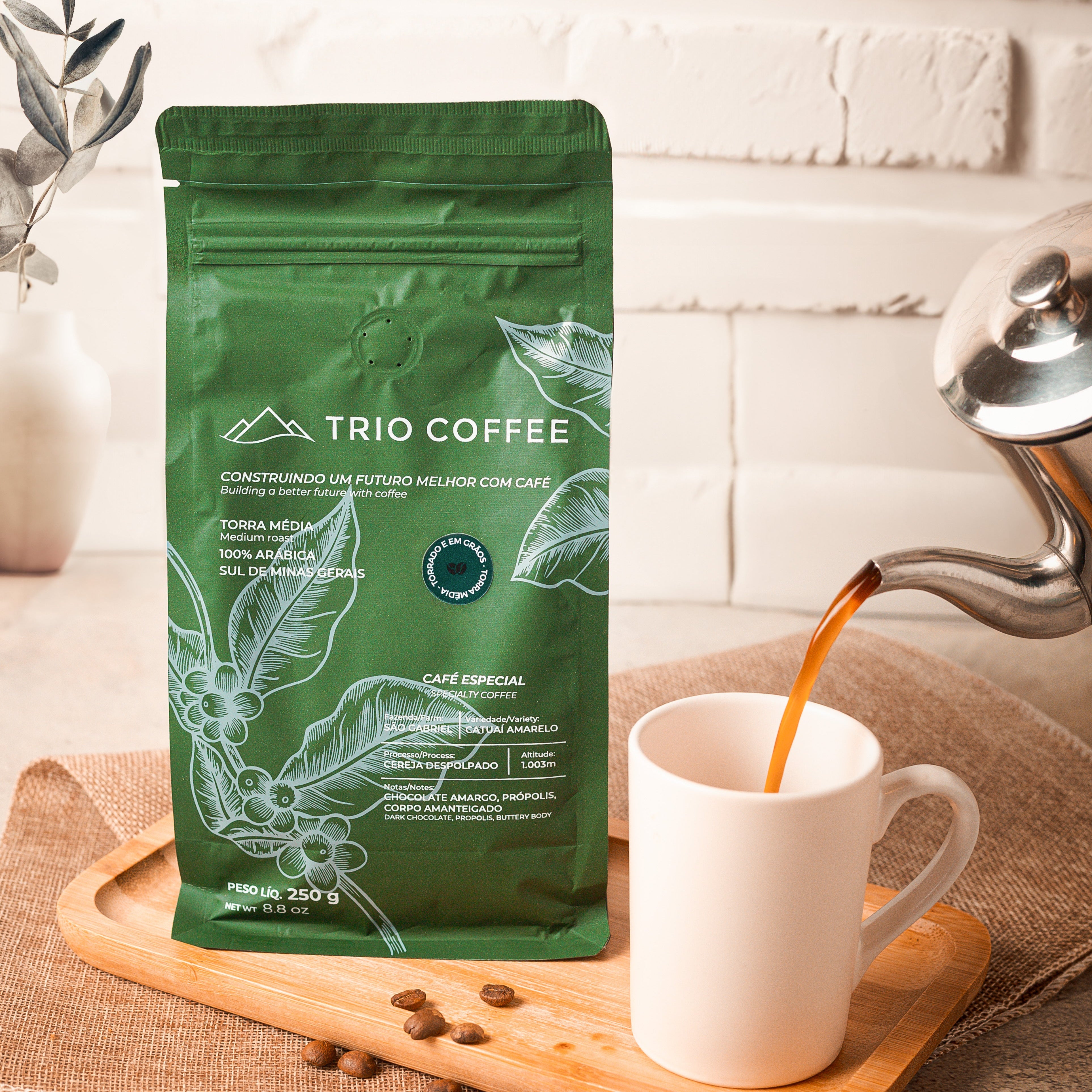 Café Especial 250g em Grãos – Trio Coffee