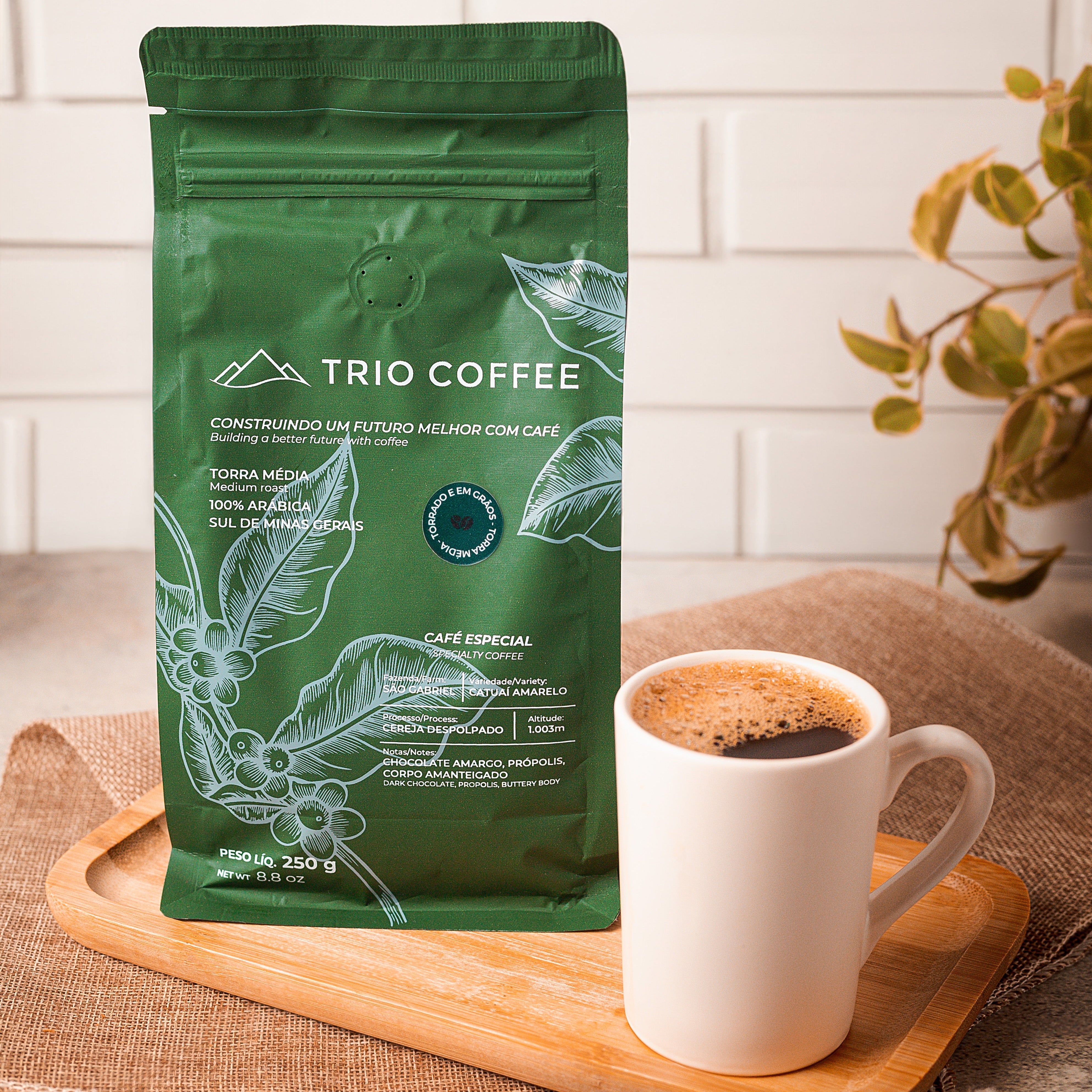 Café Especial 250g em Grãos – Trio Coffee